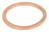 Seal Ring