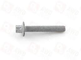 Screw